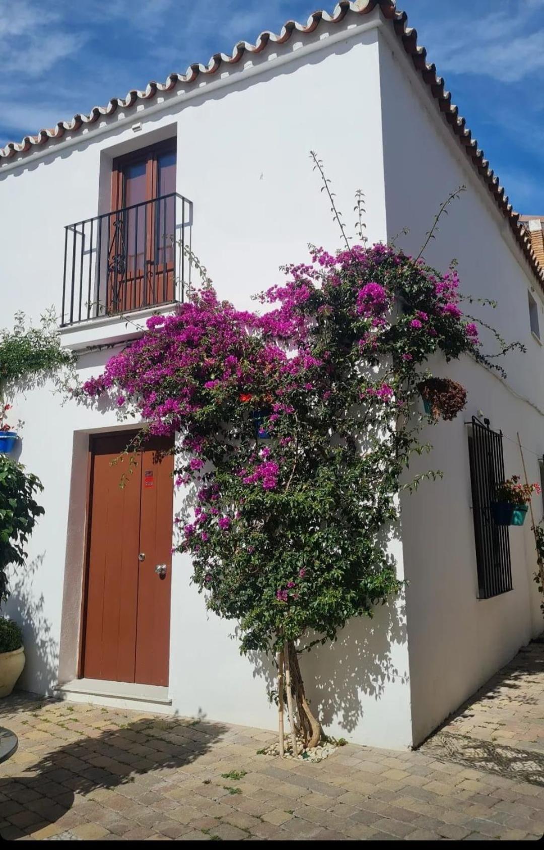 Apto Centro Historico Medieval Estepona Dış mekan fotoğraf